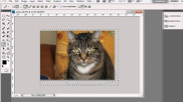 Photoshop | How to Crop Images Using the Pen Tool