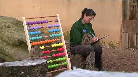 EMPOWER A2 - ELEMENTARY 2ND edition - Unit 2 - Work and Study