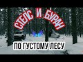 Снегоход Буран и Стелс Викинг едут по густому лесу.