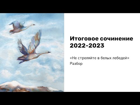 ИТОГОВОЕ СОЧИНЕНИЕ 2022-2023 | Б. Васильев "Не стреляйте в белых лебедей" | Полный разбор