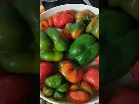 June 24, 2024 - YouTube