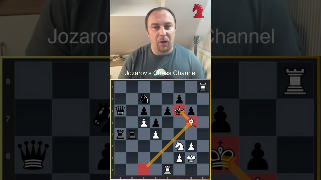 Leela C Zero's Immortal Queen Sacrifice  