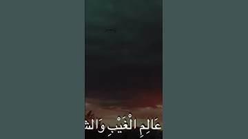 تلاوة رائعه... #محمد_احمد_حسن #المصحف #الازهري #اكسبلور #لايك #الرحمن #راحة_نفسية #دويتو #duet