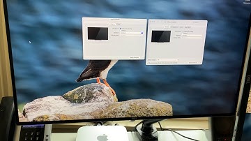 Mac mini M1 Big Sur display scaling issues when rotated