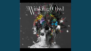 Video thumbnail of "The Winking Owl - Walk"