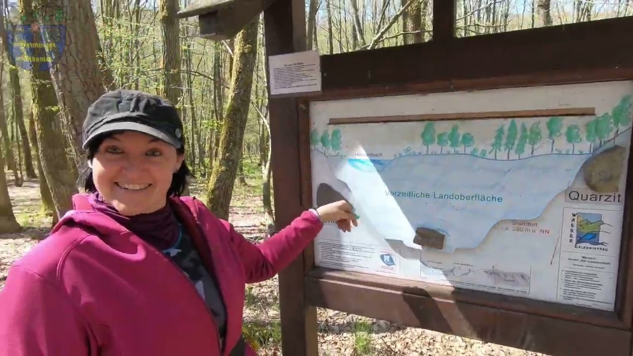 #9: Unterwegs im Kastenwagen/Wohnmobil ; Hahnenbachtaltour (Wandern in Schneppenbach )