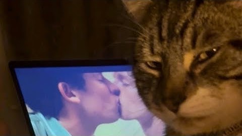 Randomly Uploading Old Animations (PT.2)