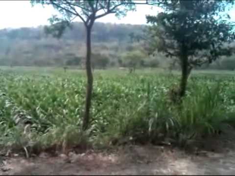 gending gugur gunung