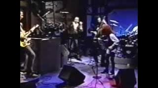 Animal Logic - There's A Spy In The House Of Love - Letterman