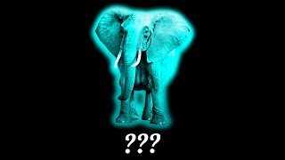 ❗61 Elephant Sound Variations in 170 Seconds  [MEGA PACK]