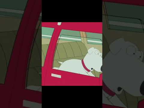 Собака в машине 😚 Гриффины #familyguy #griffin #animals #dog