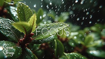 Thumbnail of 깊은 수면 및 스트레스 해소를 위한 편안한 기타 음악 ~ 어쿠스틱 멜로디