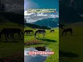 kashmir study motivation short #motivation #running