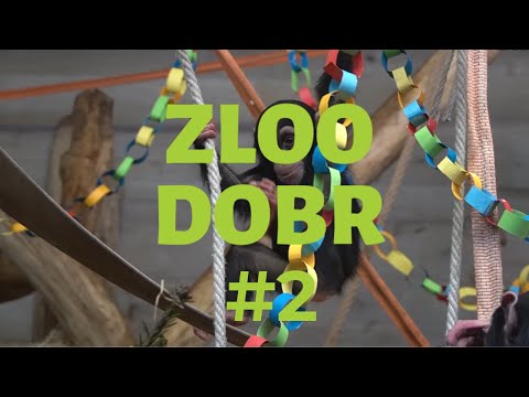 Zloo dobr z ZOO Ljubljana E2 (Kdo dela v ZOO Ljubljana - 1. del)