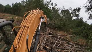 Clearing some trees with a Case 160 excavator
