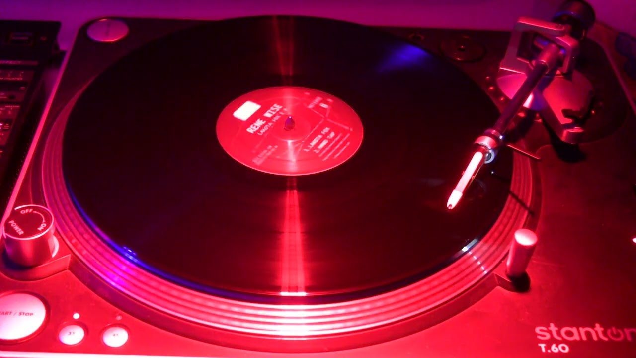 Rene Wise -Lakota Fox