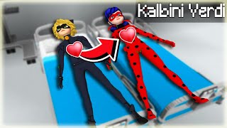 Kara Kedi̇ Uğur Böceği̇ne Kalbi̇ni̇ Verdi̇ Minecraft