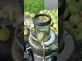 Making apple juice viral shortsfeed shortviralshorts