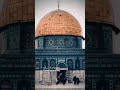 وغدا سيجري دمع عينك فرحة القارئ زياد حامد حالات