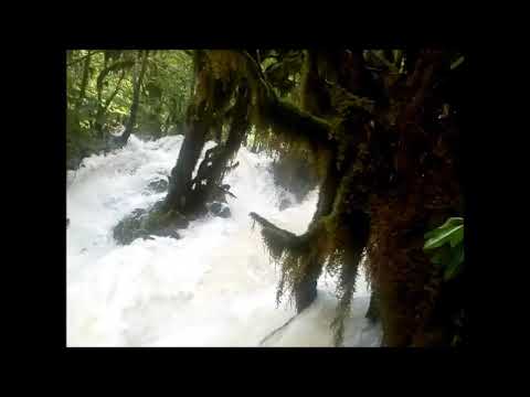 შურუბუმუ. ,,საქართველოს  ბილიკებზე\"