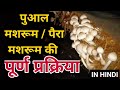 पुआल मशरूम की पूरी प्रक्रिया/पेरा मशरूम/ Paddy straw mushroom Full Process & Procedure in Hindi