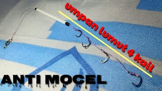 Cara Merangkai Umpan Lumut 4 Kail Untuk Ikan Nila Dan Mujair Stringing 4 Hook Moss Bait