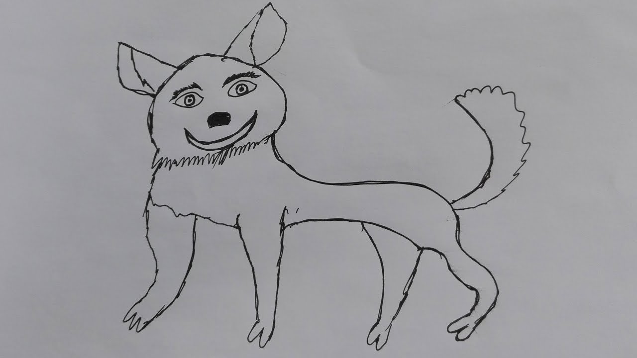 How to Draw a small dog-draw a realistic dog-draw a dog ...