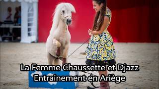 Progrès De Petit Djazz