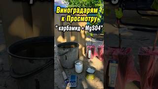 Виноградарям к просмотру ! Карбамид + Сульфат Магния