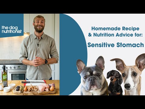 Sensitive Stomachs - Homemade Dog Food Recipe by The Dog Nutritionist