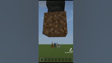 Minecraft Logic Be Like #shorts #gaming #minecraft