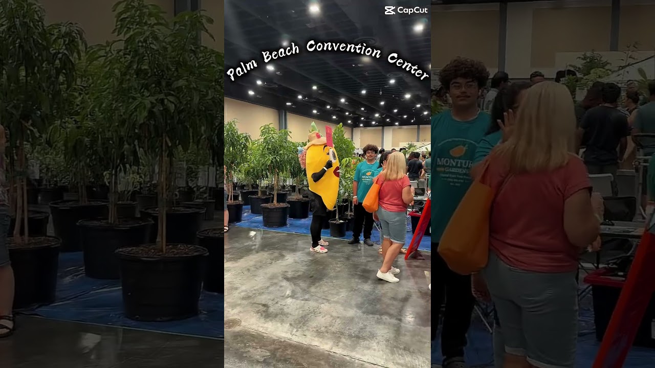 Palm Beach Mango Festival 2025