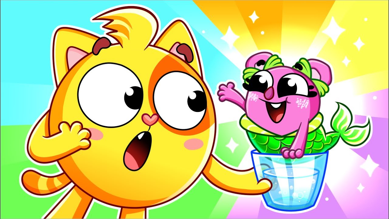 Kitty Saves the Koala Mermaid!🧜‍♀️🙀 Kids Songs 🎵😻 Muffin Socks