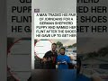 #ManTradeJordansForPuppy #FlintTheShepherd#ShoesForDog #GermanShepherdPuppy#BestTradeEver#JordanHead