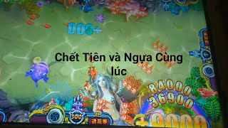Dô 50 Ngàn Điểm Gở Và Cái Kết screenshot 3