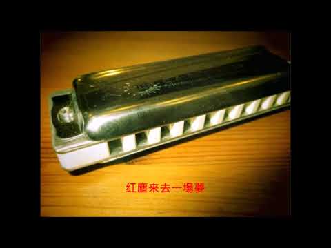 巫啟賢 红尘来去一场梦 藍調口琴 十孔口琴 key:G