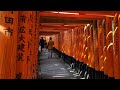 Walking in Kyoto, Japan-Fushimi Inari-taisha by DJI OSMO Pocket 伏見稲荷大社