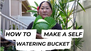 How To Make A Self Watering Bucket | Grow Vegetables | Today's Harvest