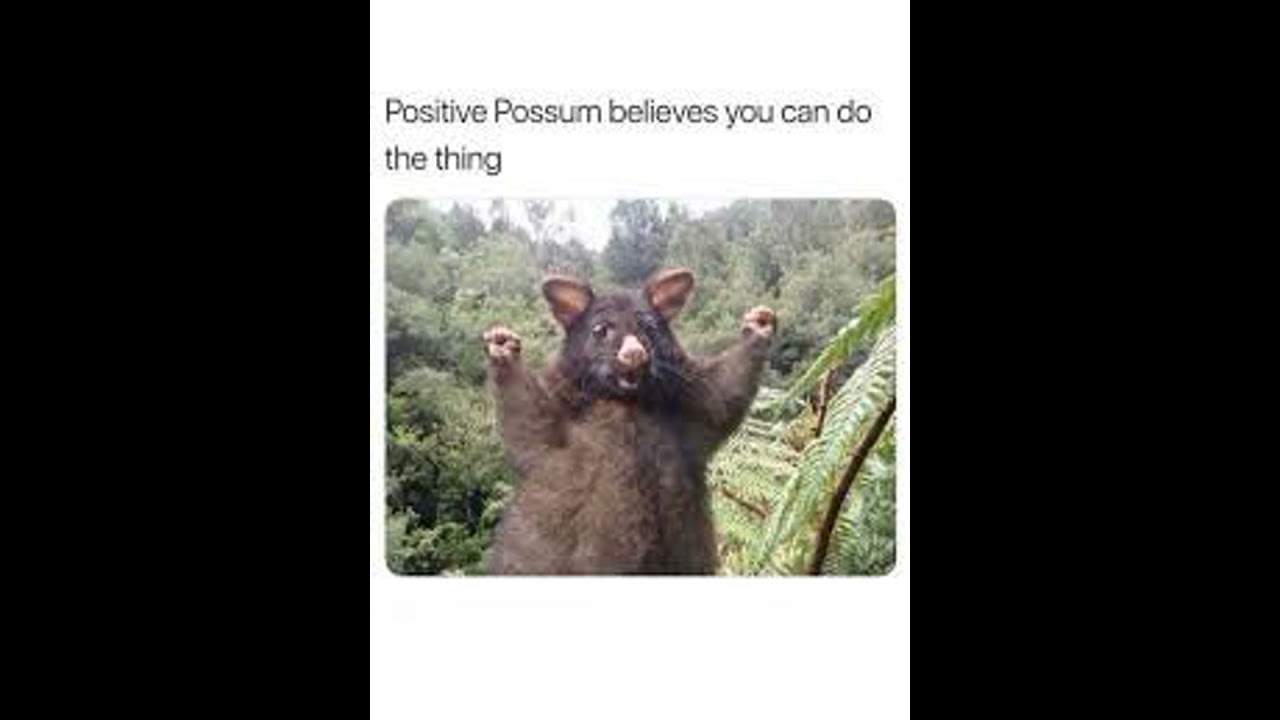 371: Do. The. Thing.