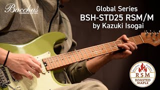 動作良好　Bacchus バッカス BSH-STD25 RSM Bacchus バッカス BSH-STD25/RSM/M AIB エレキギター 特価品
