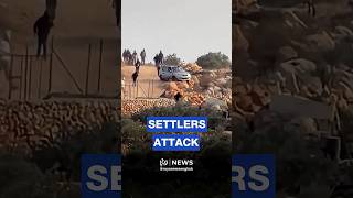 ‘Israeli’ settlers attack American activist, Palestinians during olive harvest