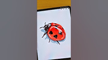 Ladybug 🐞♥️ #procreate #shorts #art #watercolor