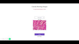 Histology Image classification web app screenshot 4