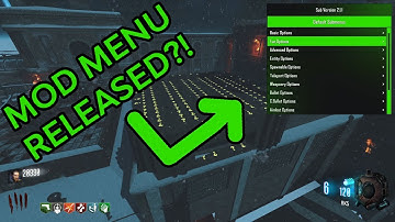 Black Ops 3 Mod Menu All Client Stats And More ONLINE 2021!