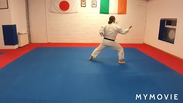 Khion Grading Syllabus Beginner to Red Belt