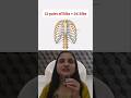 Human Ribs Explained | True, False & Floating Ribs | NCERT Biology