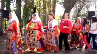 Ellik Oyunu Muhteşem (Tokat - Zile)