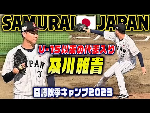 【侍ジャパン🇯🇵宮崎キャンプ】阪神・及川雅貴 U-15以来の侍入り リリーフ登板前ブルペン投球 アジアプロ野球チャンピオンシップ２０２３＃アジチャン