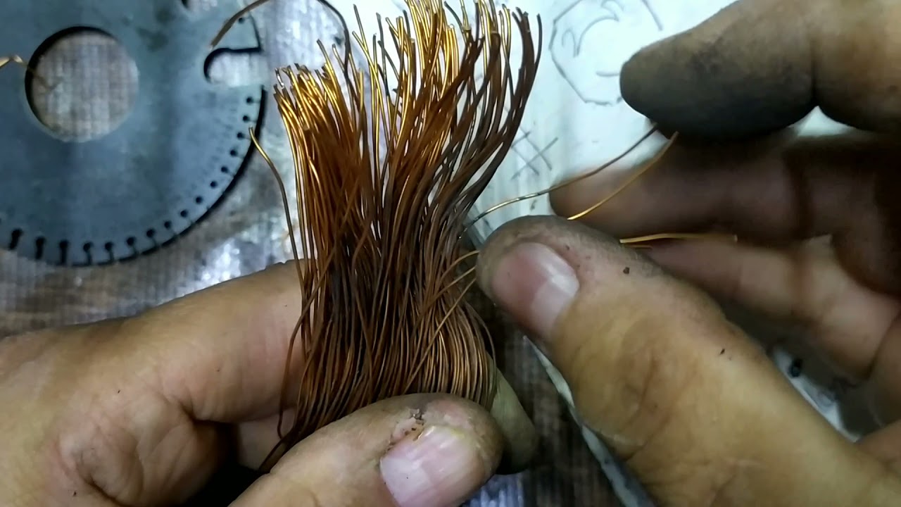 Oster  Licuadora Campos Embobinar.