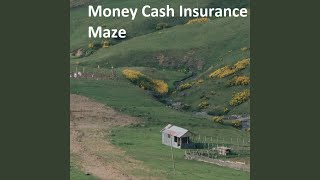 Money Cash Insurance Maze